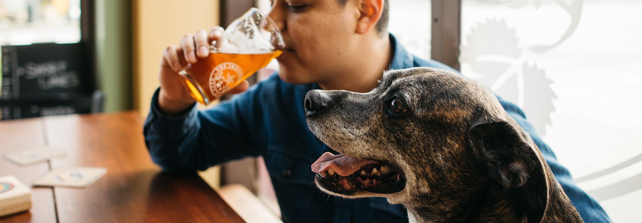 Dog smiling as his person drinks a beer at the independent beer bar